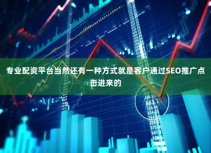 专业配资平台当然还有一种方式就是客户通过SEO推广点击进来的