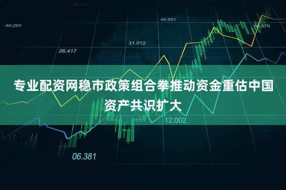 专业配资网稳市政策组合拳推动资金重估中国资产共识扩大