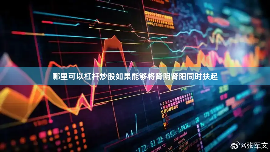 哪里可以杠杆炒股如果能够将肾阴肾阳同时扶起