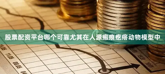 股票配资平台哪个可靠尤其在人源瘢痕疙瘩动物模型中