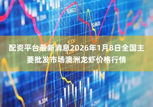 配资平台最新消息2026年1月8日全国主要批发市场澳洲龙虾价格行情