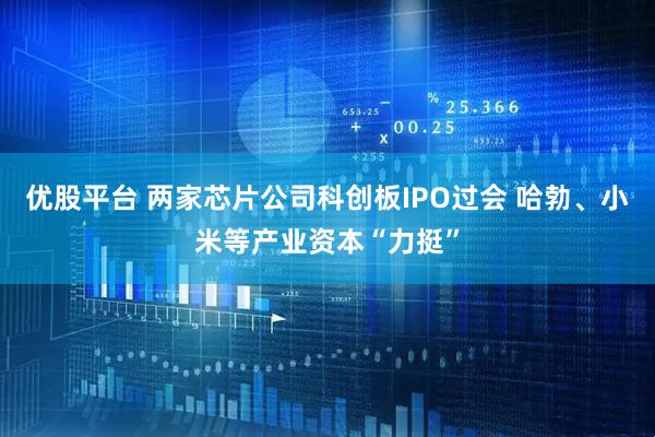 优股平台 两家芯片公司科创板IPO过会 哈勃、小米等产业资本“力挺”