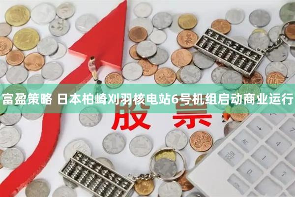 富盈策略 日本柏崎刈羽核电站6号机组启动商业运行